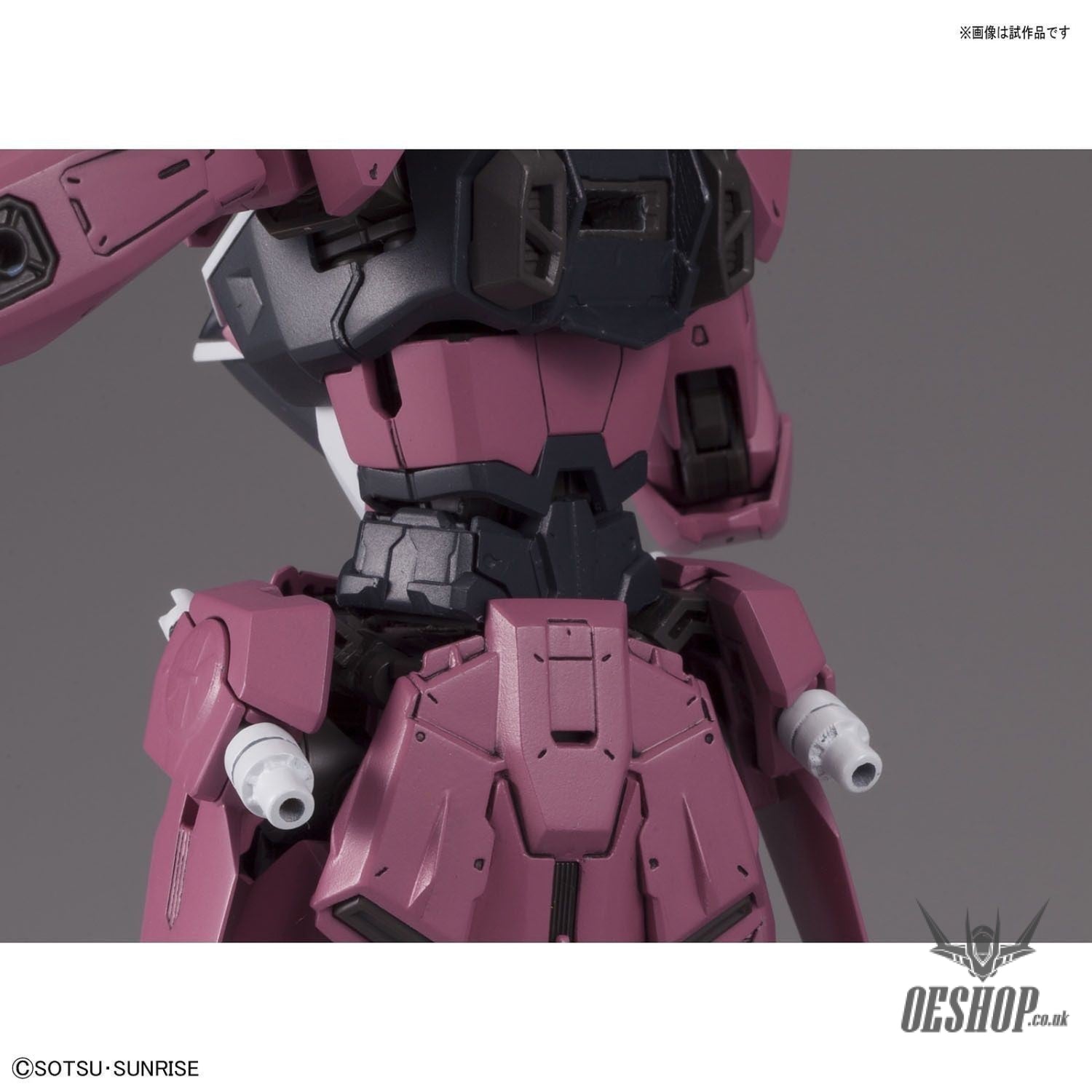 1/100 MG Justice Gundam Bandai 52.97 OEShop