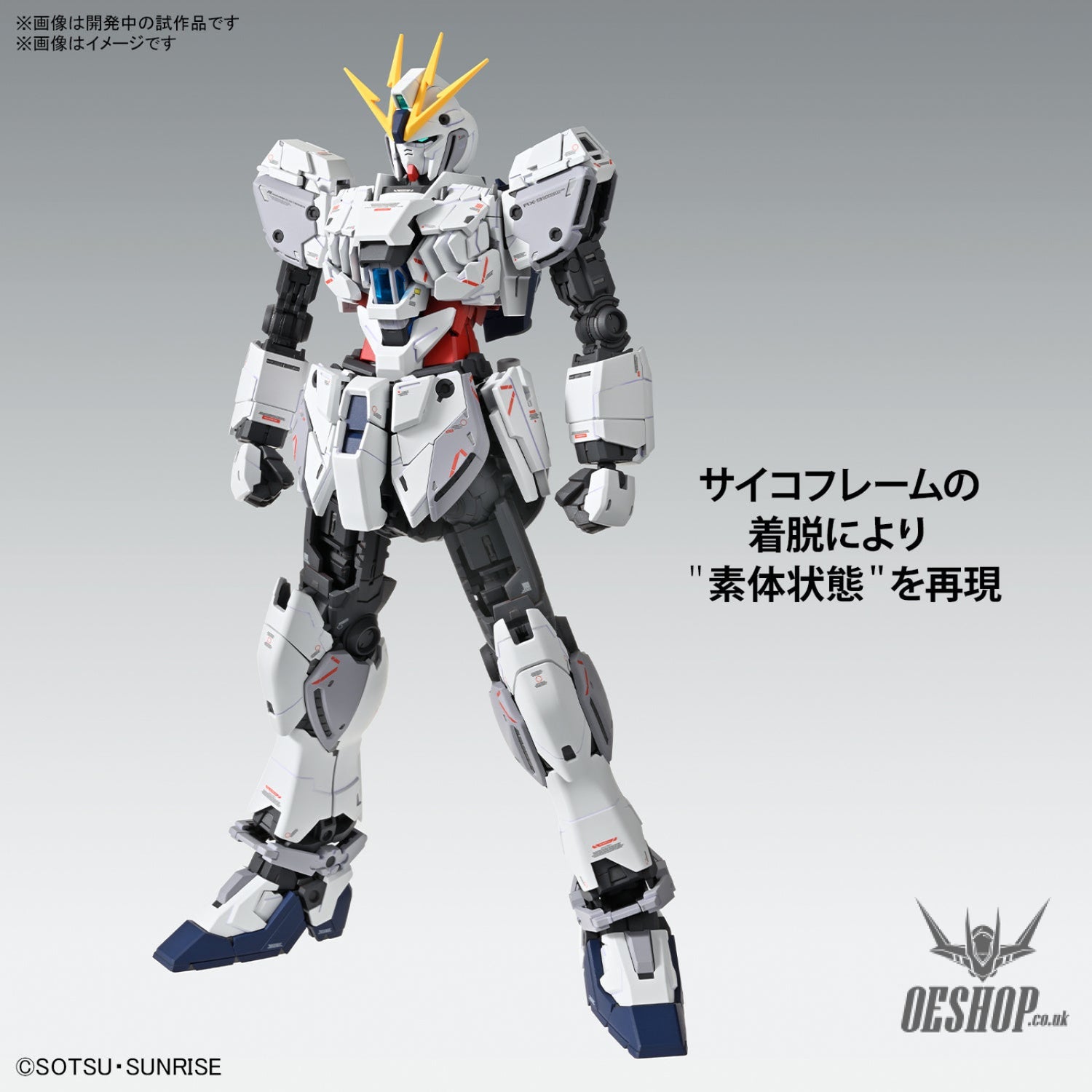 1/100 MG Narrative Gundam C-Packs Ver. Ka Scale Model Kits