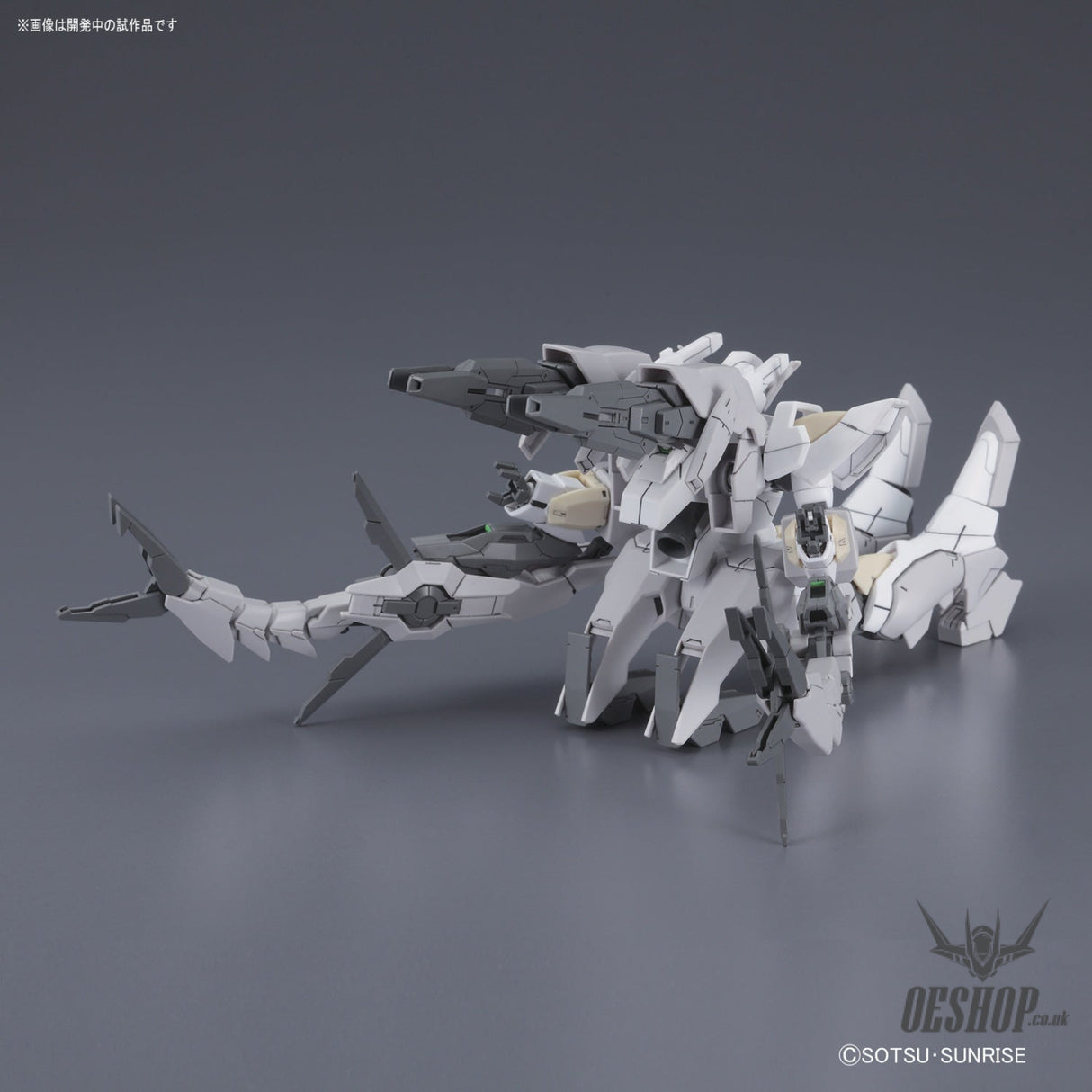 1/144 HGBF 063 Reversible Gundam Scale Model Kits
