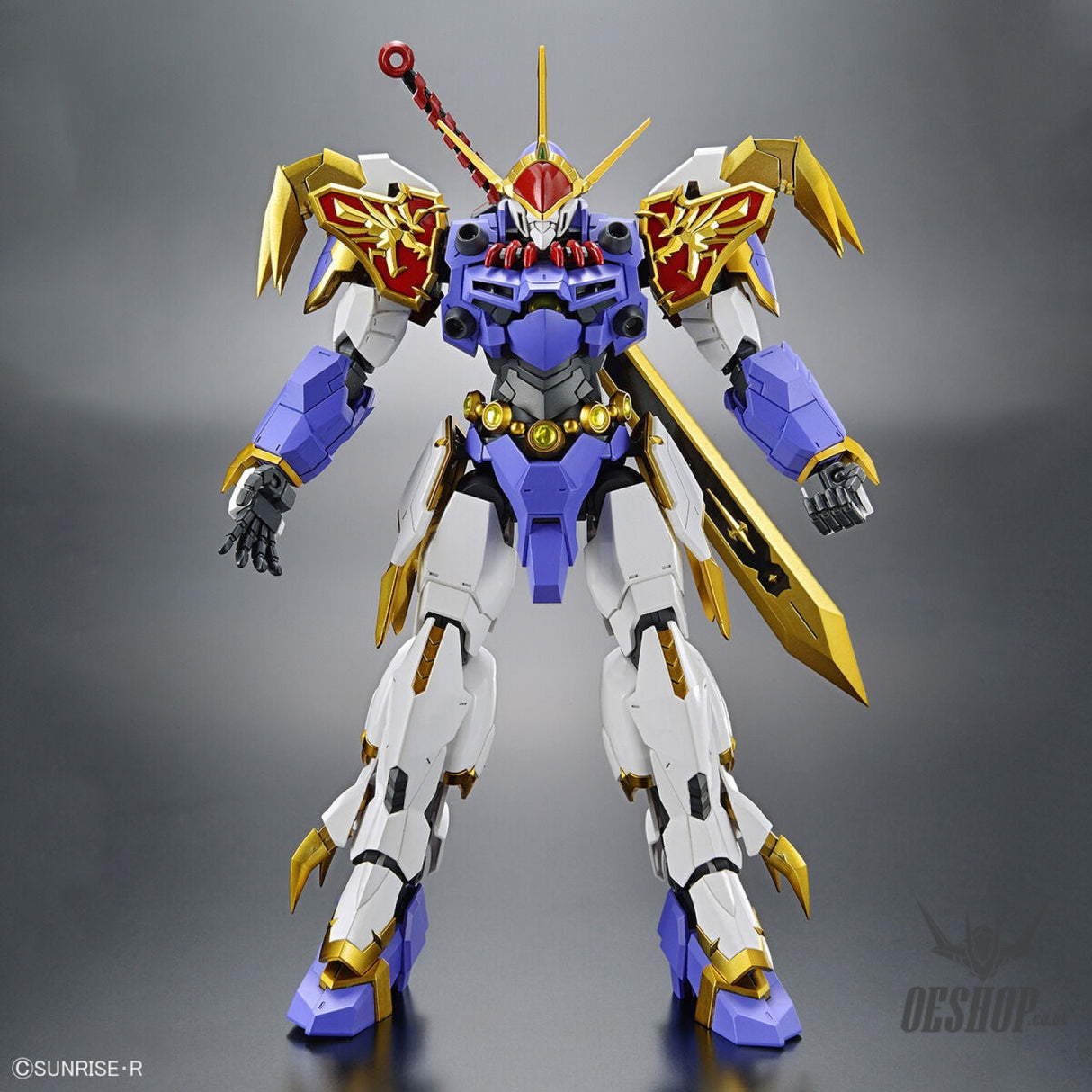 HG Amplified IMGN Ryujinmaru Bandai Namco Scale Model Kits