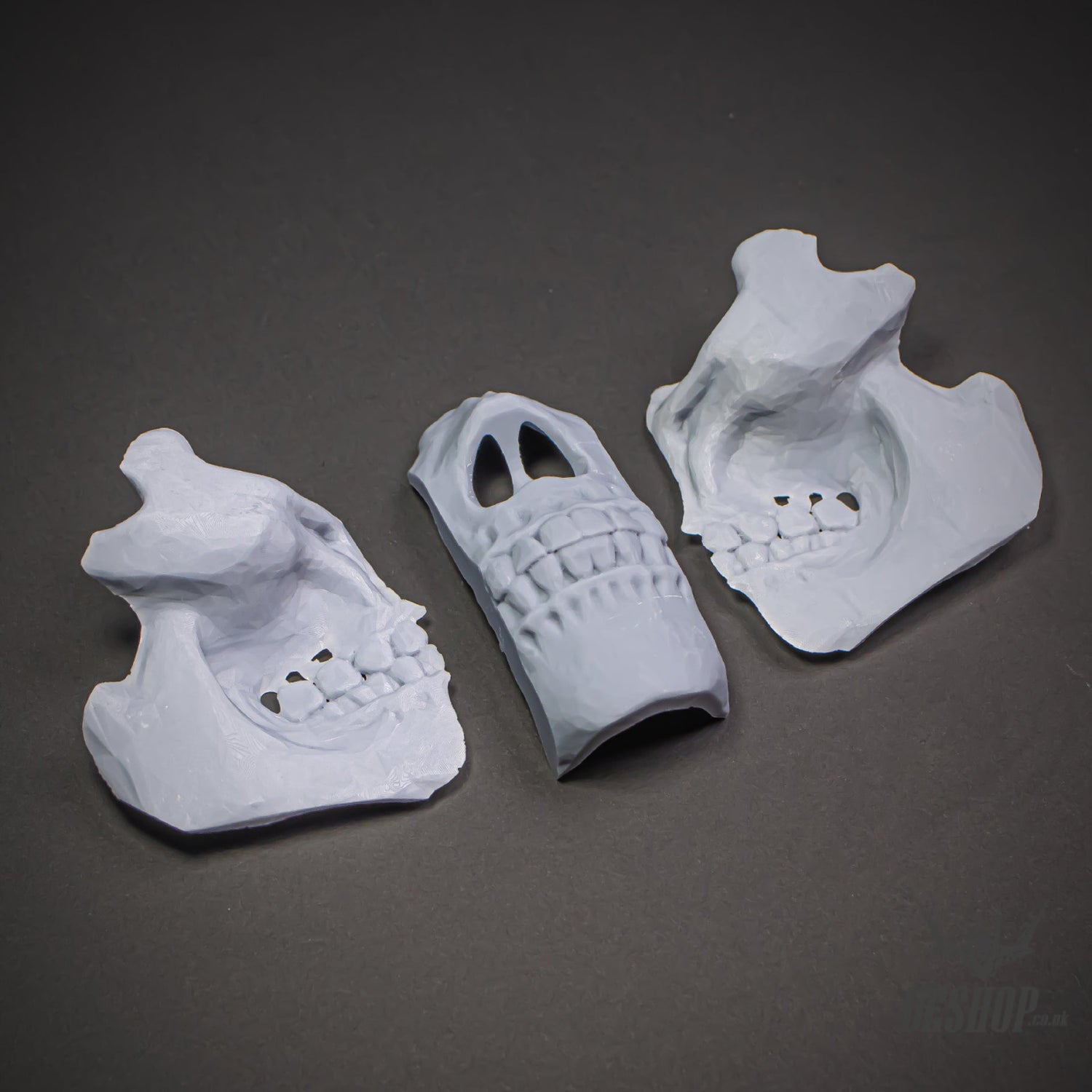 StudioG Model Paint Limited Halloween Series with Mystery Box Painting Consumables