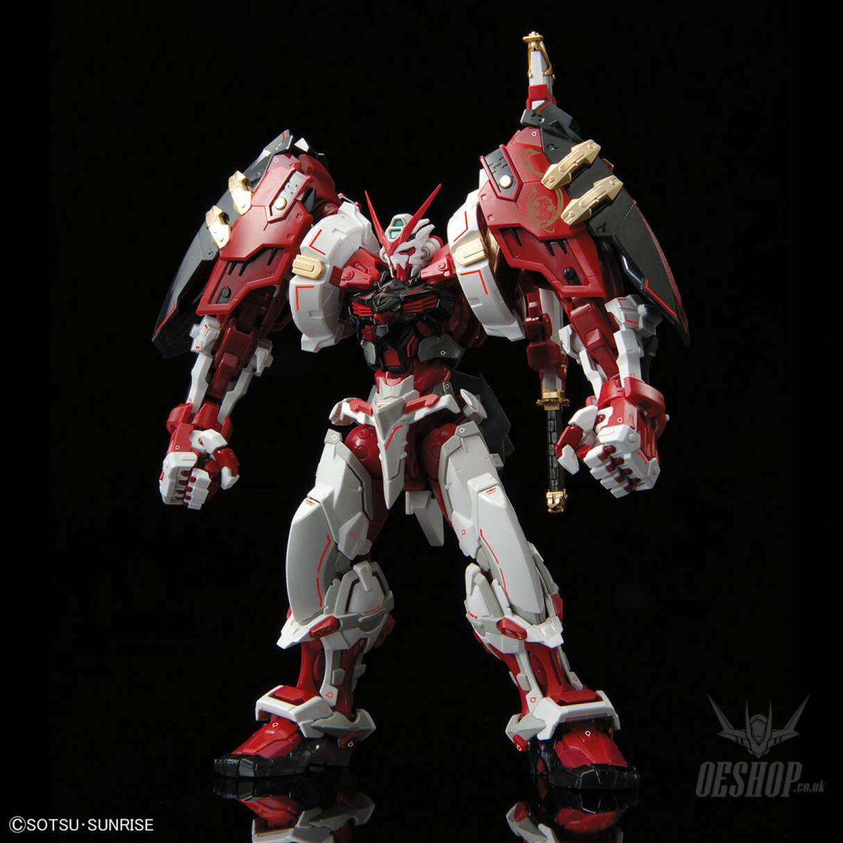 1/100 HiRM Gundam Astray Red Frame Powered Red Scale Model Kits