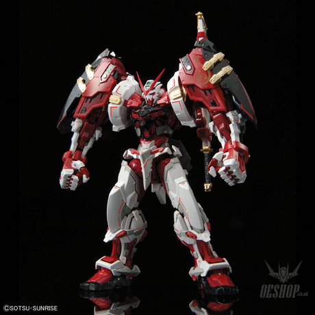 1/100 HiRM Gundam Astray Red Frame Powered Red Scale Model Kits