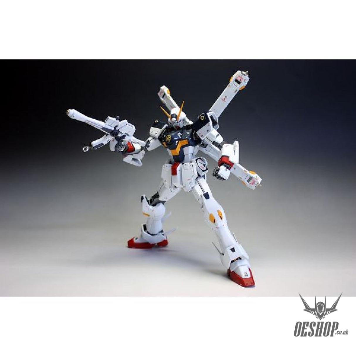 1/100 MG Crossbone Gundam X-1 Ver.Ka Scale Model Kits