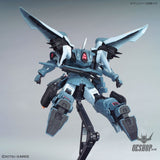 1/100 MG Gundam ZGMF-1017 Mobile Ginn Scale Model Kits