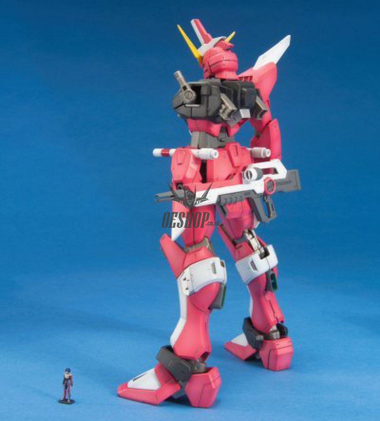 1/100 MG Infinite Justice Gundam Scale Model Kits