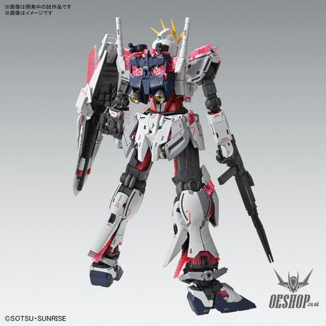 1/100 MG Narrative Gundam C-Packs Ver. Ka Scale Model Kits