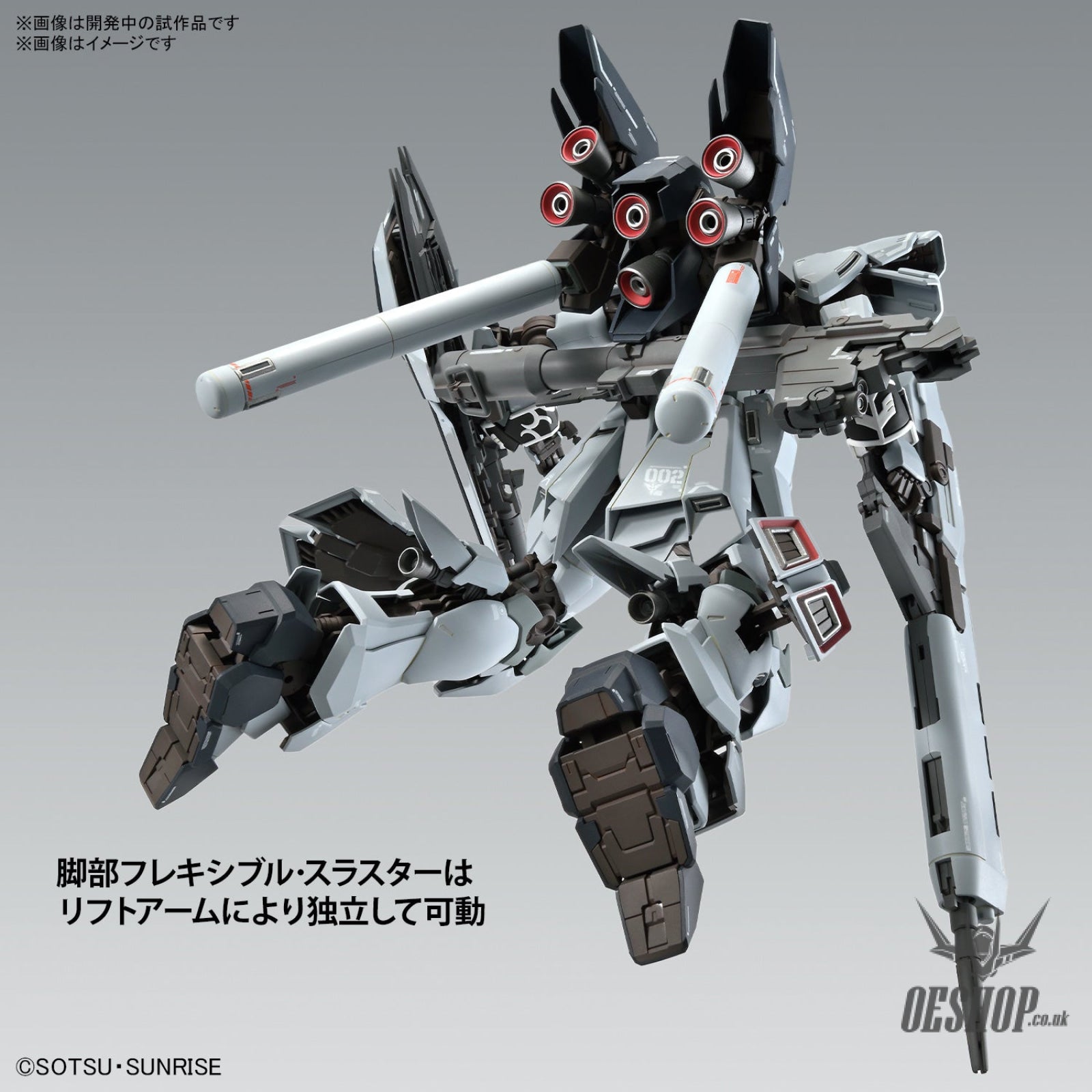 1/100 MG Ver Ka MSN-06S-2 Sinanju Stein (Narrative Ver.) Ver. Ka