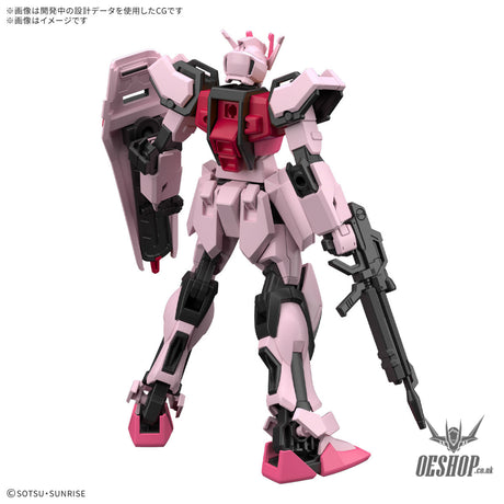 1/144 EG Entry Grade Strike Rouge Scale Model Kits