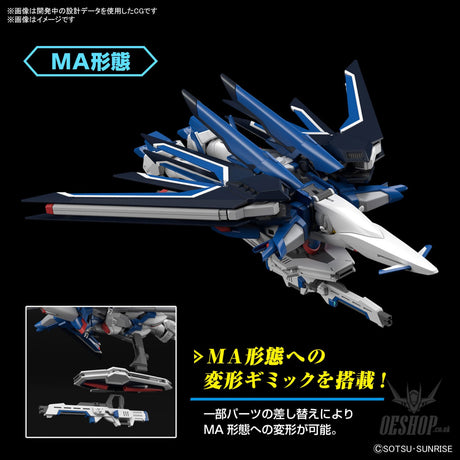 1/144 HGCE 243 Rising Freedom Gundam Scale Model Kits