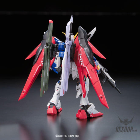 1/144 RG 11 ZGMF-X42S Destiny Gundam Scale Model Kits