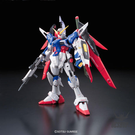 1/144 RG 11 ZGMF-X42S Destiny Gundam Scale Model Kits