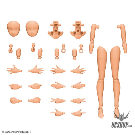 30MS Option Body Parts OB-11 Arm Parts & Leg Parts [Color C] Scale Model Kits