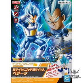 Bandai EG Entry Grade Super Saiyan God Super Saiyan Vegeta Scale Model Kits