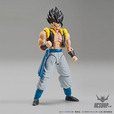 Bandai Figure Rise Standard Dragon Ball Super Super Saiyan God Super Saiyan Gogeta Scale Model Kits