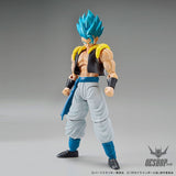 Bandai Figure Rise Standard Dragon Ball Super Super Saiyan God Super Saiyan Gogeta Scale Model Kits
