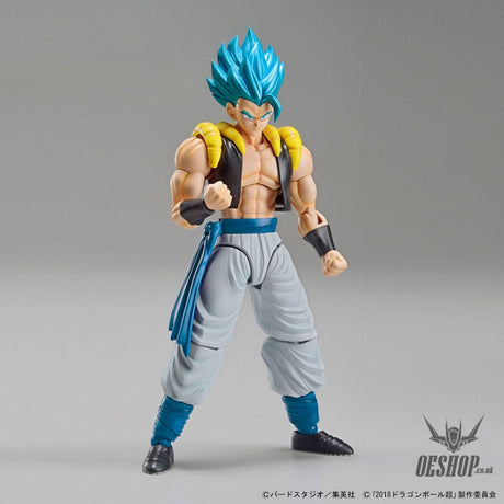 Bandai Figure Rise Standard Dragon Ball Super Super Saiyan God Super Saiyan Gogeta Scale Model Kits