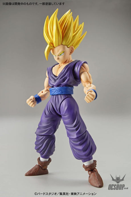 Bandai Figure Rise Standard Dragon Ball Z Super Saiyan 2 Gohan Scale Model Kits