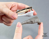 Bandai Plannosaurus Jurassic World - Mosasaurus Dinosaur Plastic Scale Model Kits