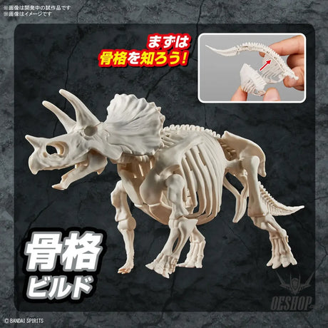 Bandai Plannosaurus - Triceratops - Scale Model Kits