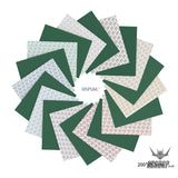 Dspiae Fsp 180-2500 Self Adhesive Abrasive Film 200*250Mm (Durable Type)