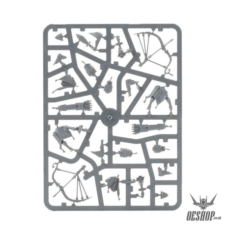 Warhammer Age Of Sigmar Lumineth Realm Lords: Vanari Auralan Sentinels 87-58 Tabletop Wargame