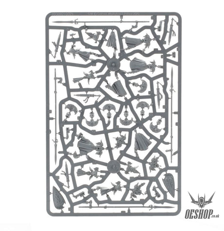 Warhammer Age Of Sigmar Lumineth Realm Lords: Vanari Auralan Wardens 87-59 Tabletop Wargame