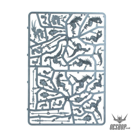 Warhammer Age Of Sigmar Spearhead: Seraphon 70-881 Tabletop Wargame
