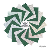 Dspiae Fsp 180-2500 Self Adhesive Abrasive Film 200*250Mm (Durable Type)